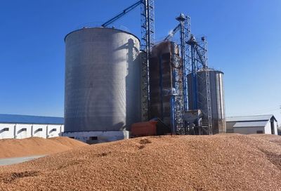 福海縣 科學(xué)配制“營養(yǎng)大餐”，助力畜牧業(yè)提質(zhì)增效