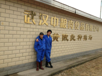 畜牧獸醫(yī)專業(yè)校外實習基地建設(shè) 聚焦畜牧漁業(yè)飼料銷售實踐