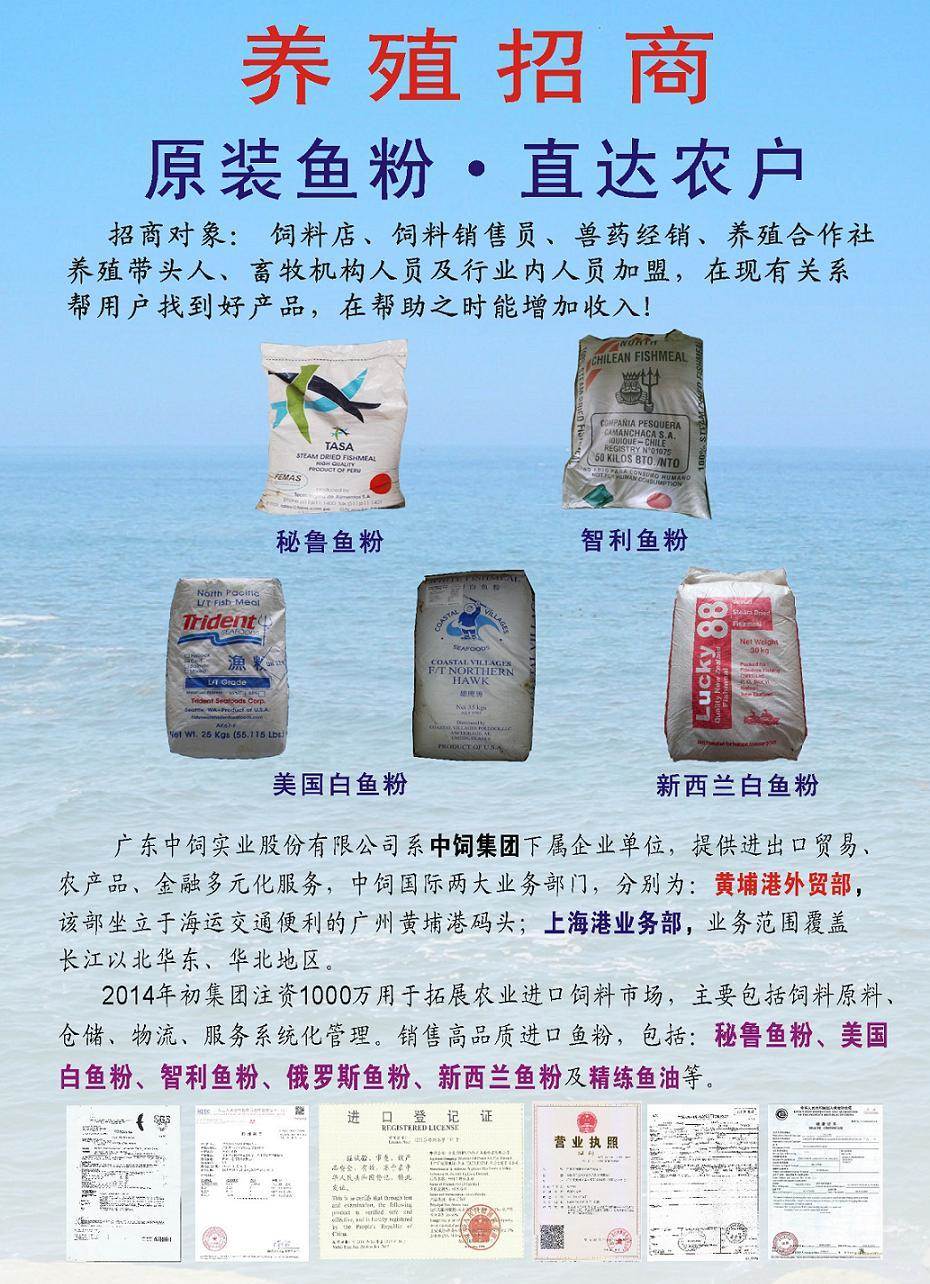 巴沙魚粉 高效蛋白源助力現(xiàn)代養(yǎng)殖業(yè)發(fā)展